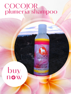 Cocojor All Natural Dog Plumeria Shampoo
