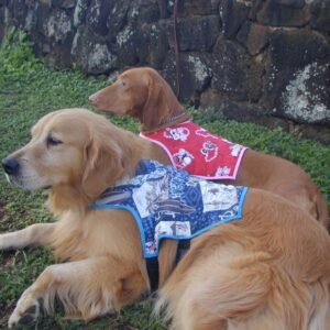 Cocojor All Natural Dog Hawaii 5-0 Cooling Vest